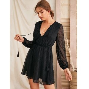 Tassel Ties Black Swiss Dot Sheer Mini Dress